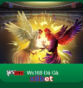 x8bet